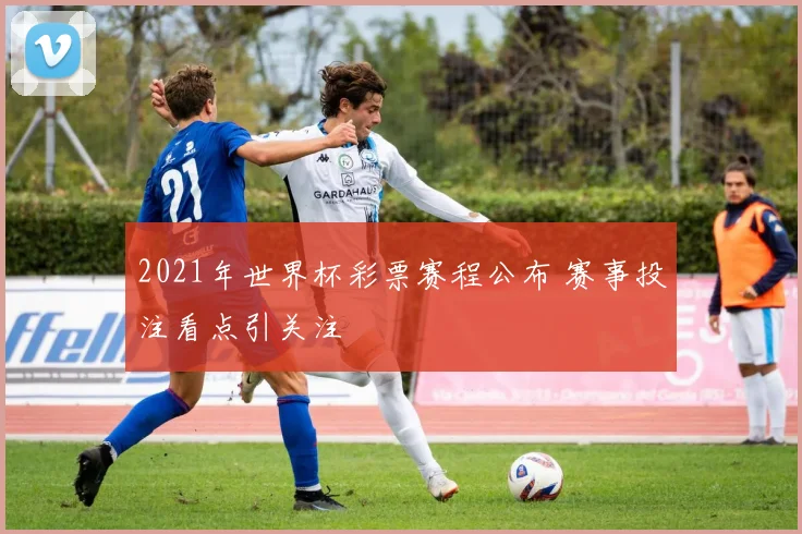 2021年世界杯彩票赛程公布 赛事投注看点引关注