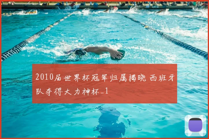 2010届世界杯冠军归属揭晓 西班牙队夺得大力神杯_1