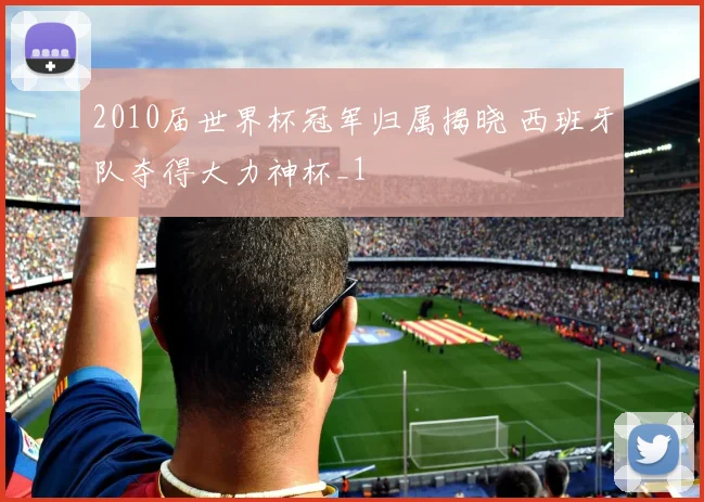 2010届世界杯冠军归属揭晓 西班牙队夺得大力神杯_1