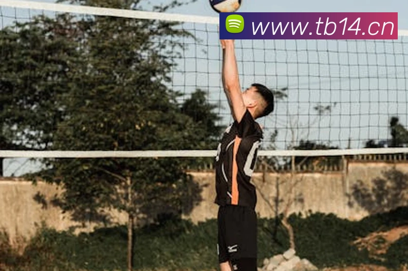 米乐易游官方网站平台生态图